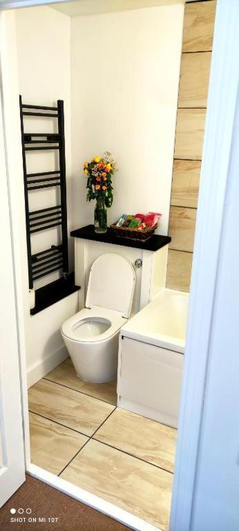 Surrey Quays Residency - Serviced Rooms Londra Esterno foto